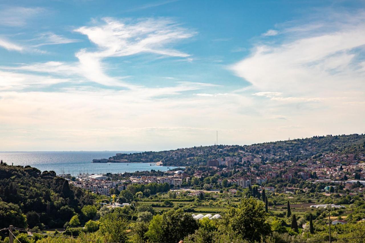 Larabella Salt Fields View Studio Portorož Eksteriør billede