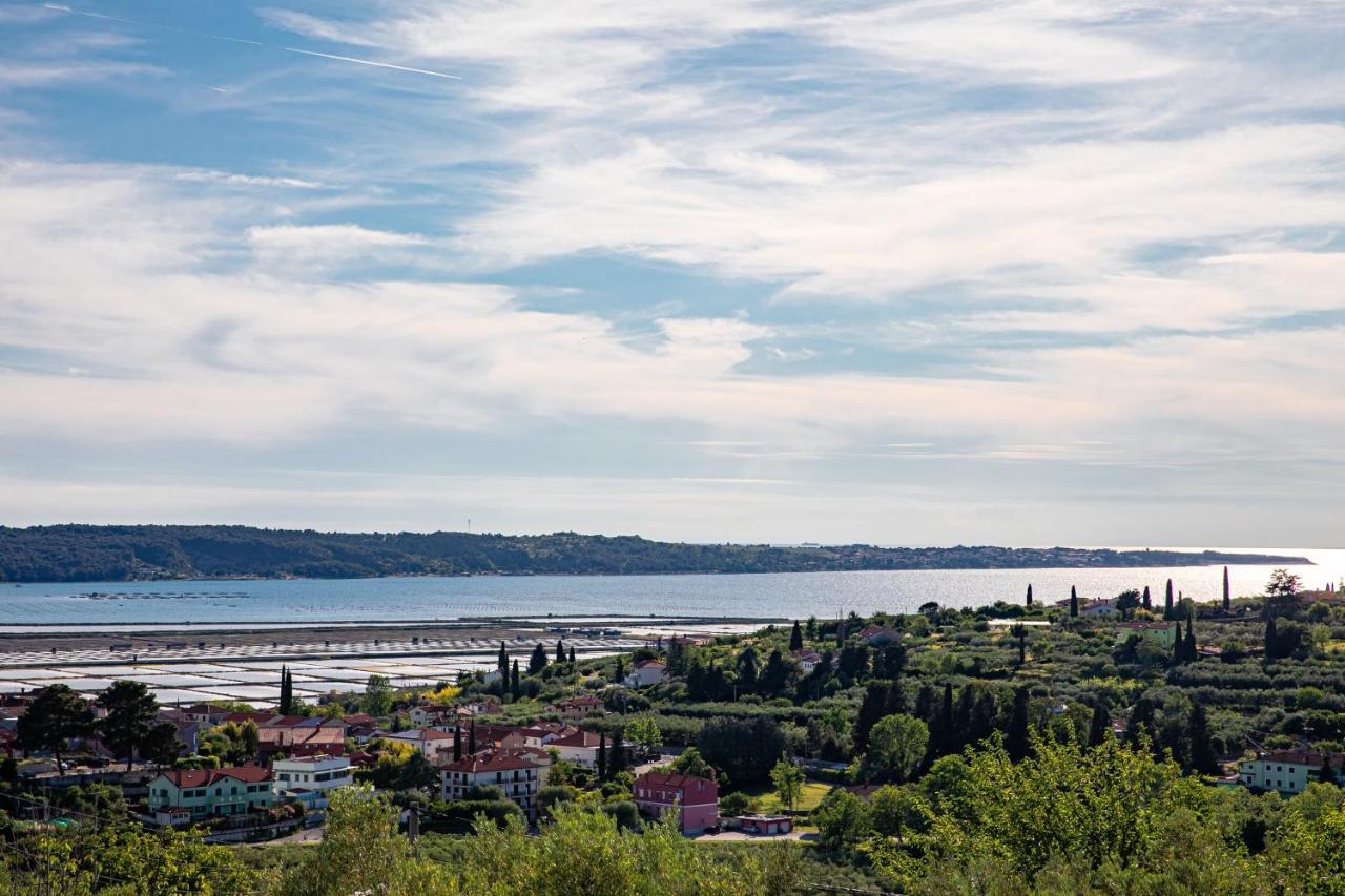 Larabella Salt Fields View Studio Portorož Eksteriør billede